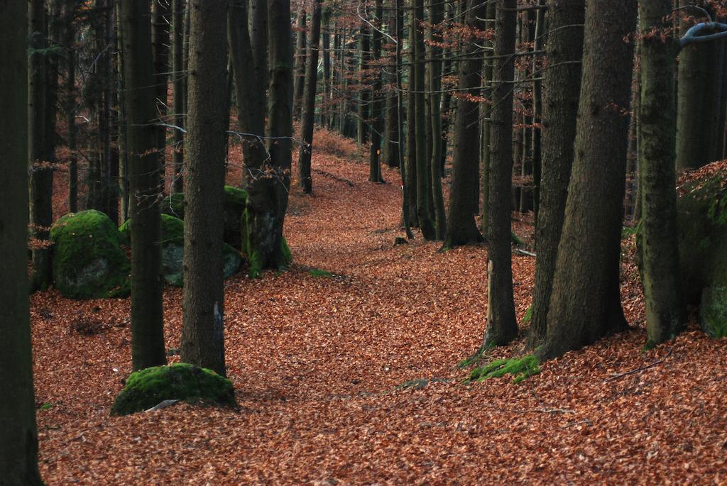 Gasthof Und Pension Haunschmid Rechberg ภายนอก รูปภาพ